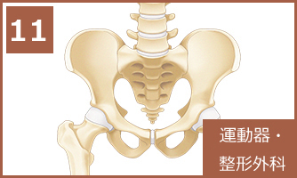 11 運動器・整形外科