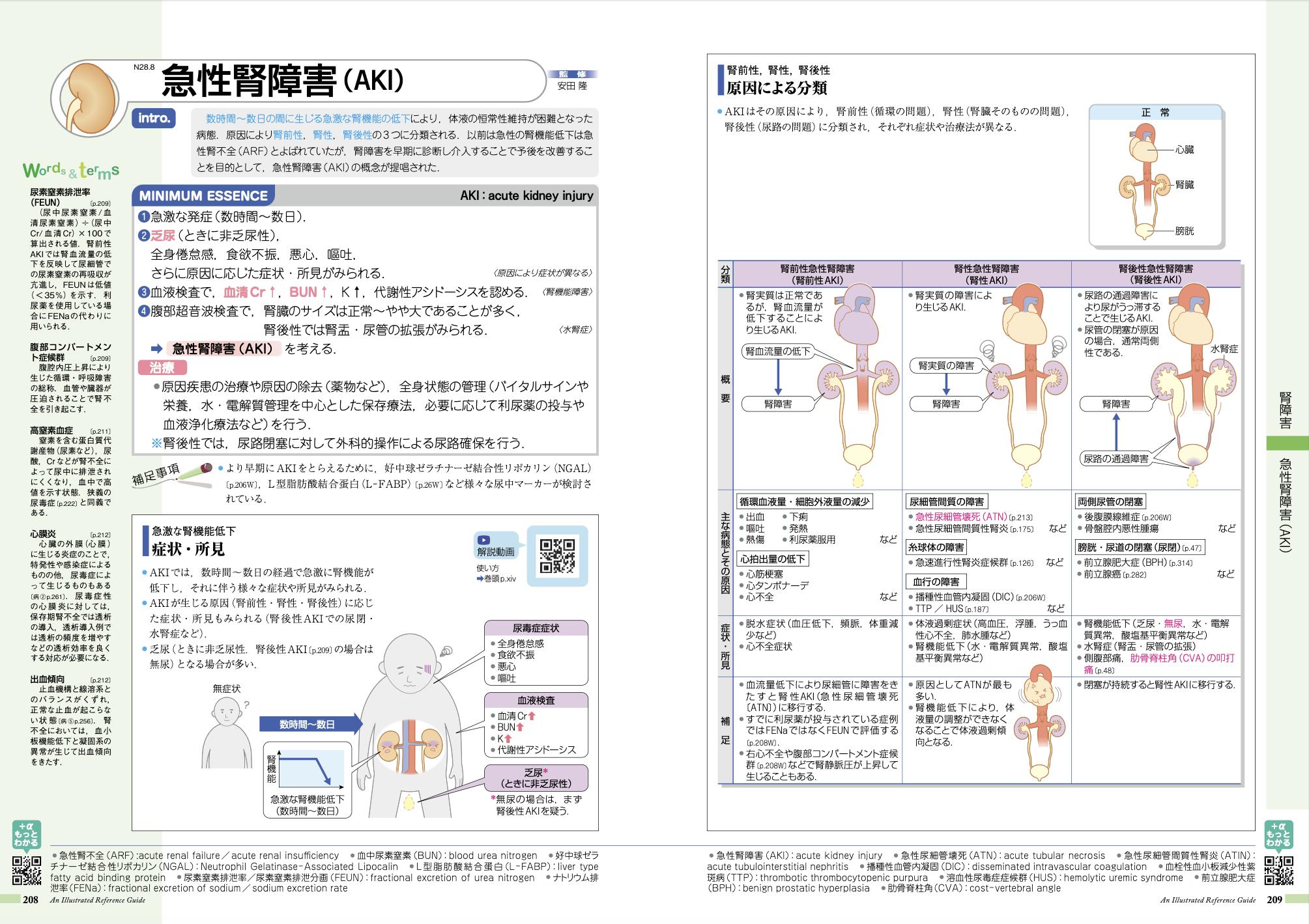 病気がみえる vol.8 腎・泌尿器