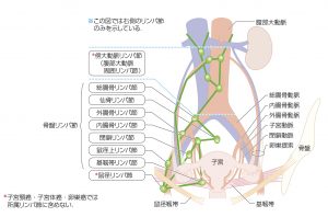 所属リンパ節_誤