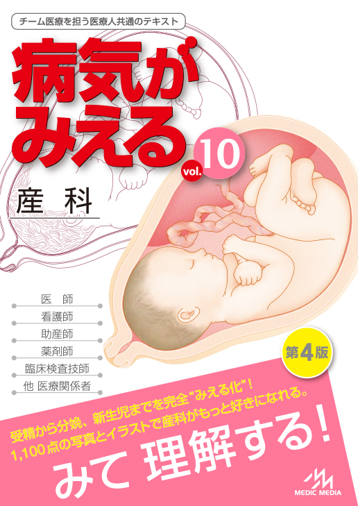 山本あい子責任編集病気がみえる vol.10 (産科) 他 助産師関連教材 計